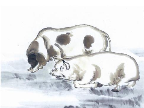 今年诸事不利，明年时来运转，风生水起的三大生肖