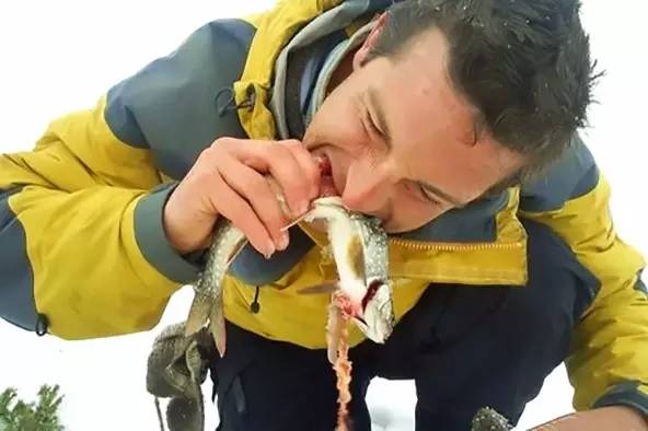 淡水三文鱼和虹鳟鱼的区别,三文鱼和淡水虹鳟的区别