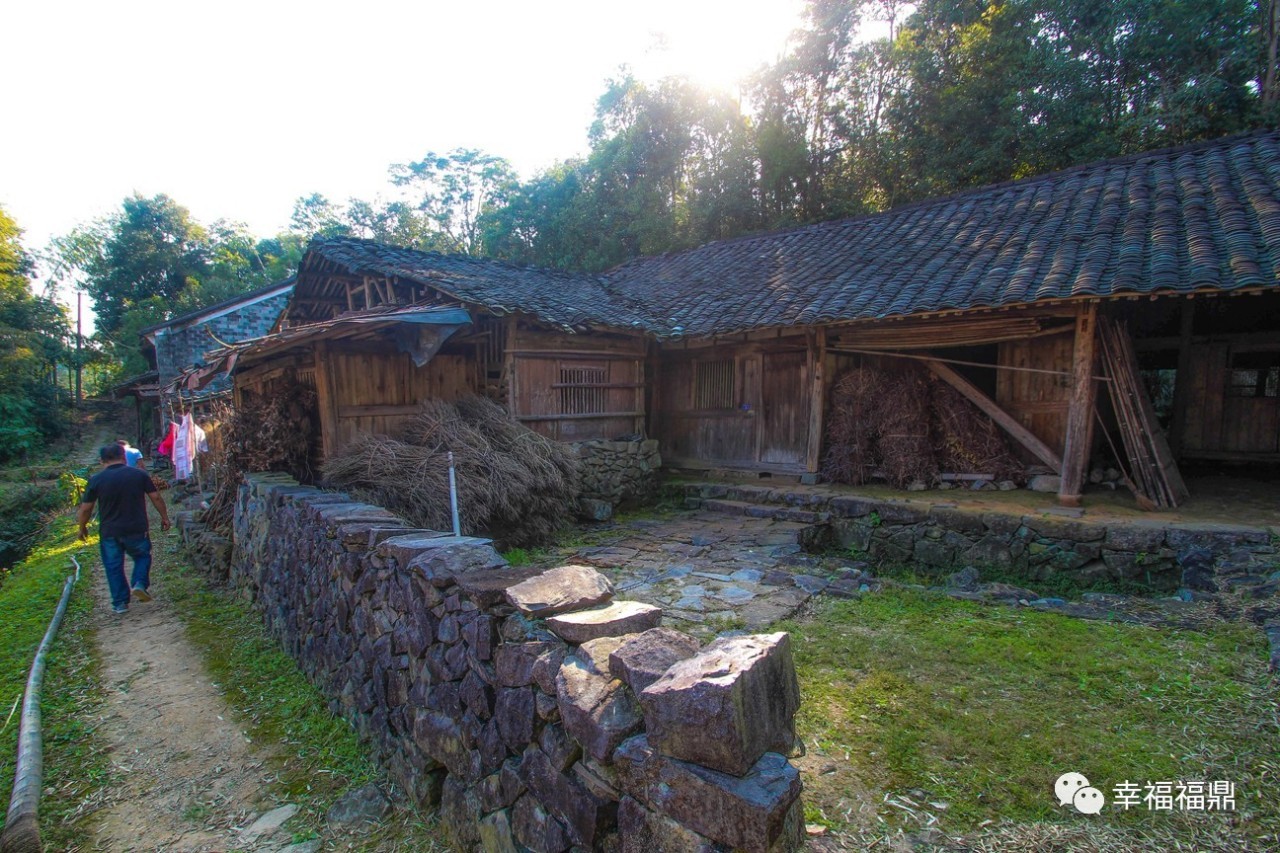 秘境杨梅,安吉杨梅溪