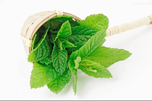 搜索夏天驱蚊止痒的药水,夏季必备驱蚊止痒神器