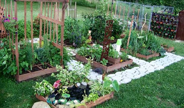 一米菜园风靡全球,一米菜园经营模式怎么样