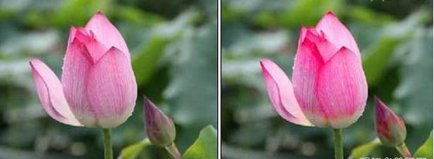 photoshop图像菜单的内容,photoshop菜单栏中包括哪九个菜单项