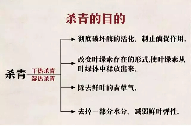 怎样判断杀青温度过高,杀青是高温好还是低温好