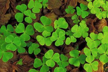 不歧视三本的考研学校商科,不歧视三本的考研院校