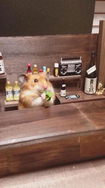 家里的仓鼠跑走了,家里的仓鼠跑出来了会躲在哪里