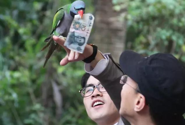 被遗忘的海南,海南被遗忘的浪漫之地