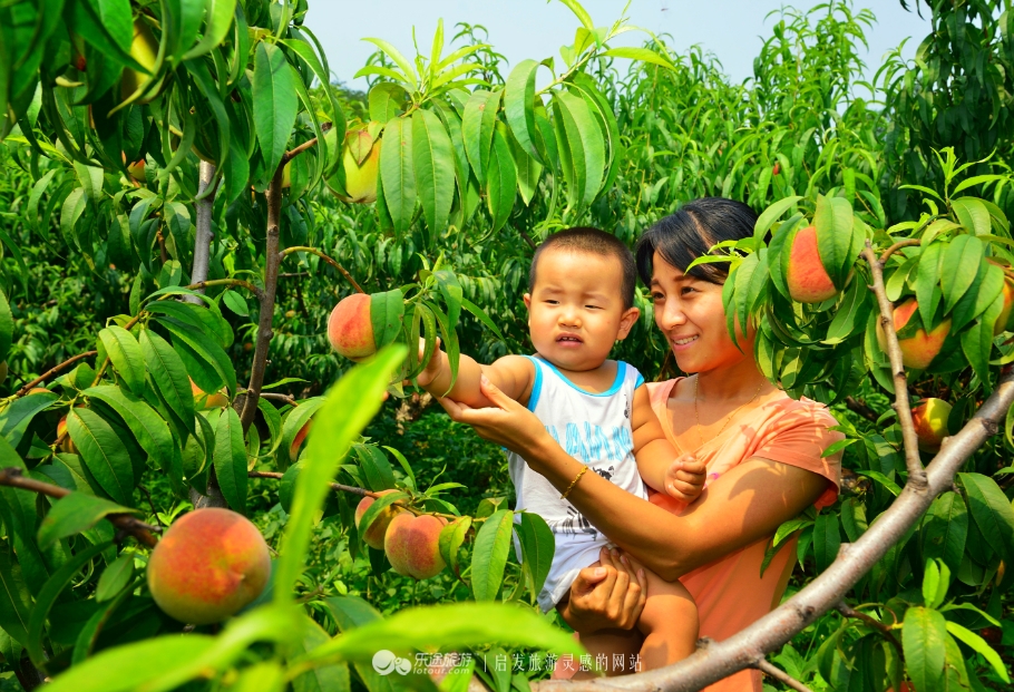 红石沟油菜花,红石沟秋景