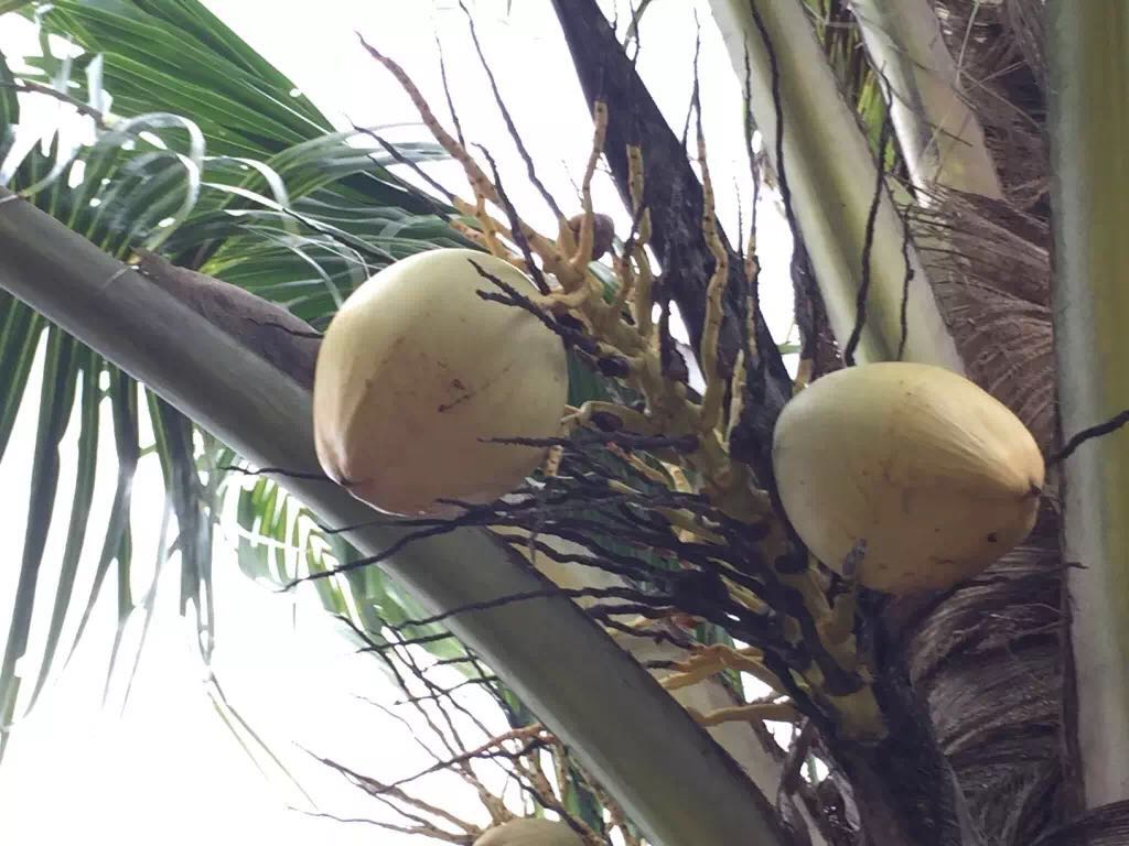 被遗忘的海南,海南被遗忘的浪漫之地