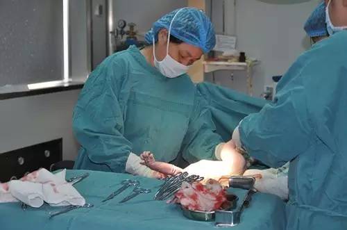 刘正香医生,宜昌妇幼保健院刘正香