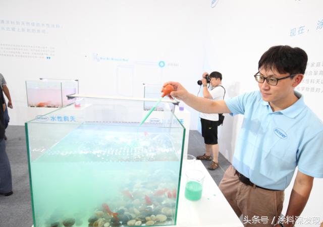 防水涂料养鱼,金鱼涂料是环保的吗