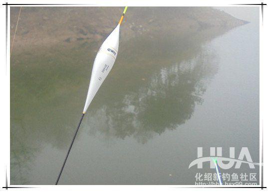 一味浮漂和小凤仙浮漂哪家的好,一味浮漂多少钱一个