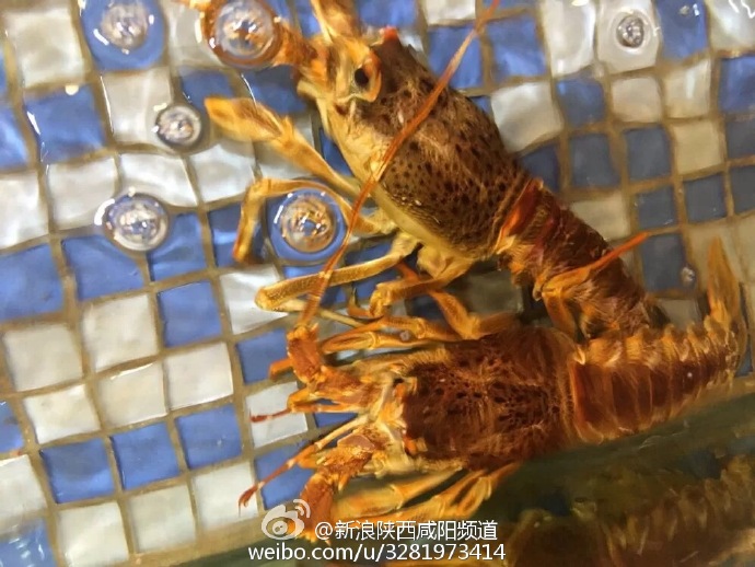 咸阳市吃海鲜的店,咸阳北门口海鲜美食