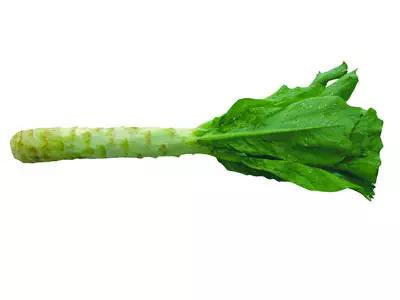 城市暴雨如何防护安全,收好这份暴雨自救指南