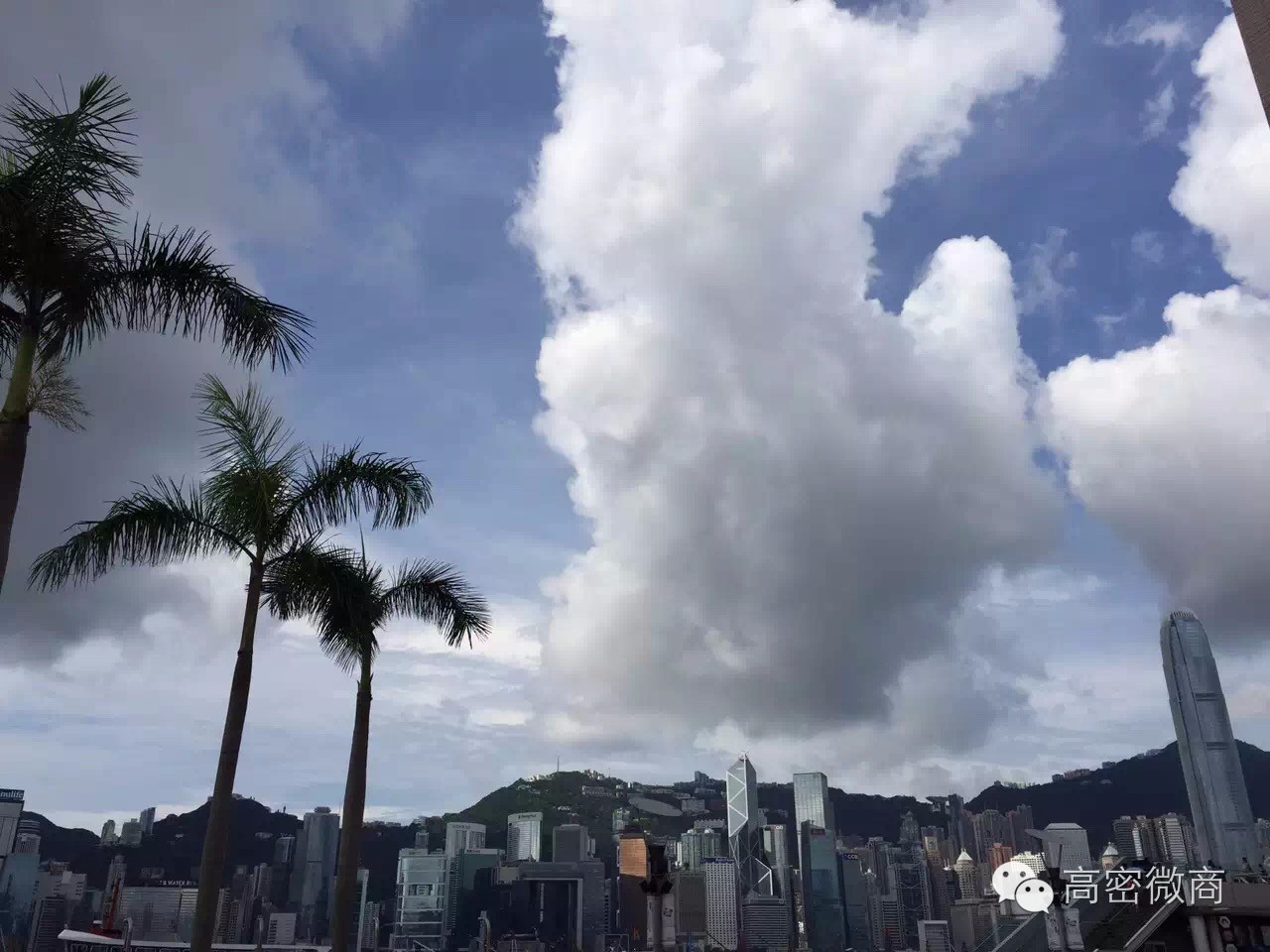 香港体验生活完整版,香港吃喝玩乐