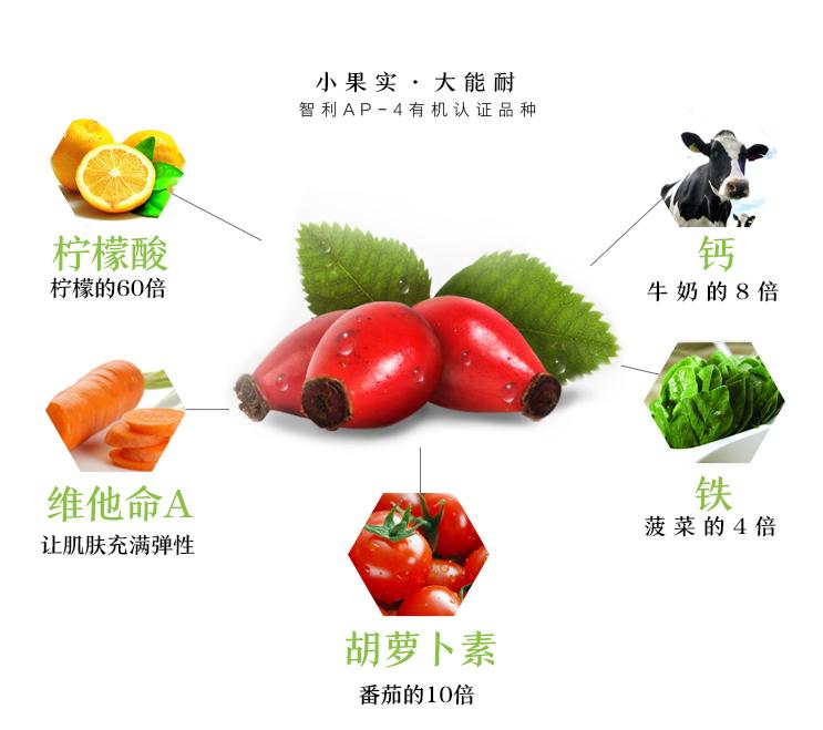 试用报告｜比阿芙玫瑰精油更好用的coesam玫瑰果油