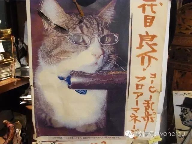 日本京都下午茶,东京好吃又便宜的地方