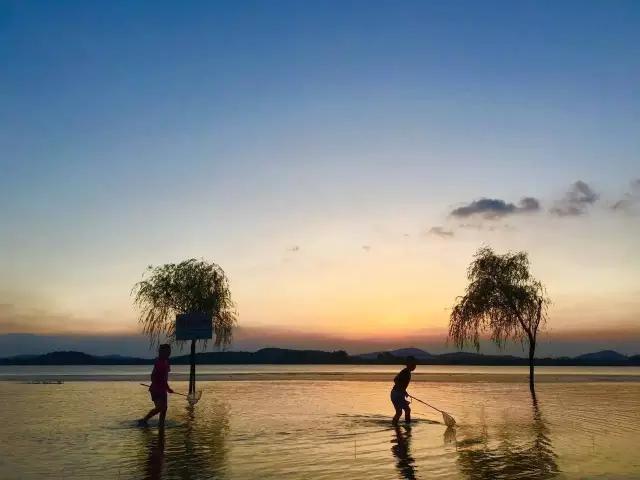 优秀手机摄影作品的五个要素,手机拍的作品