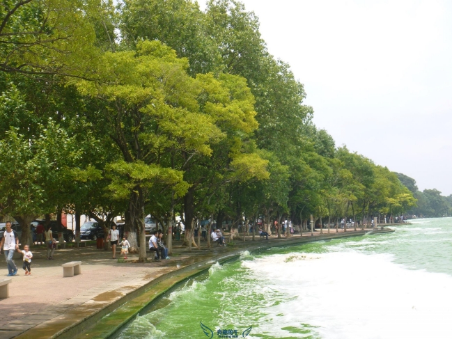 高洪波国足,国足本土教练高洪波