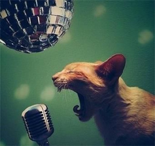 唱歌什么叫齿音,为什么会有齿音