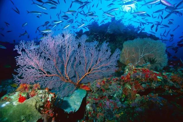 一生必去的55个地方有哪些,一生必去的51个地方图片