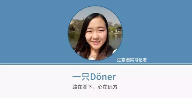 鏈曚笉缁欎綘浣犱笉鑳芥姠,鏈曚笉缁欎綘浣犱笉鑳芥姠鍘熻瘽