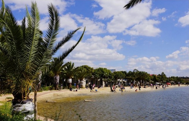 高洪波国足,国足本土教练高洪波