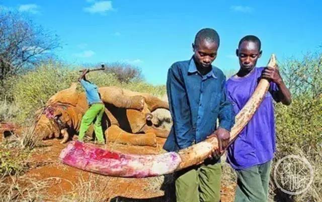 老婆和妈掉水里先救谁正确答案,媳妇和孩子掉水里先救谁最佳答案