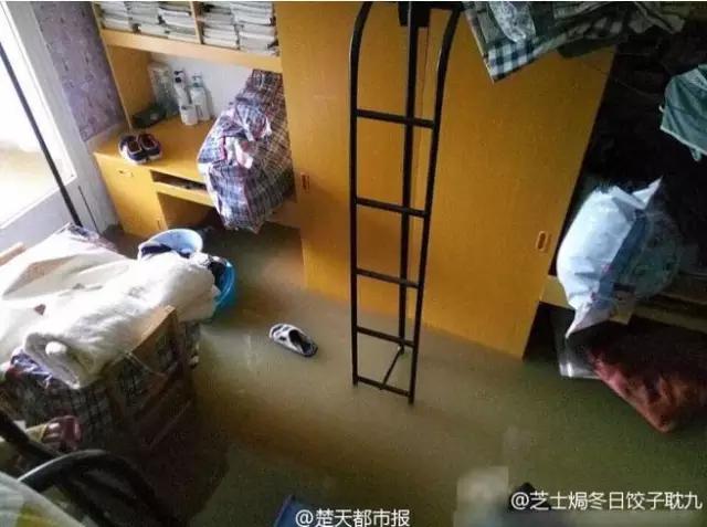 城市暴雨如何防护安全,收好这份暴雨自救指南