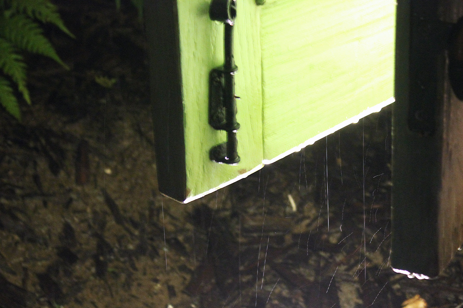 上海迪士尼好玩吗值得去吗,上海迪士尼一整天游玩攻略