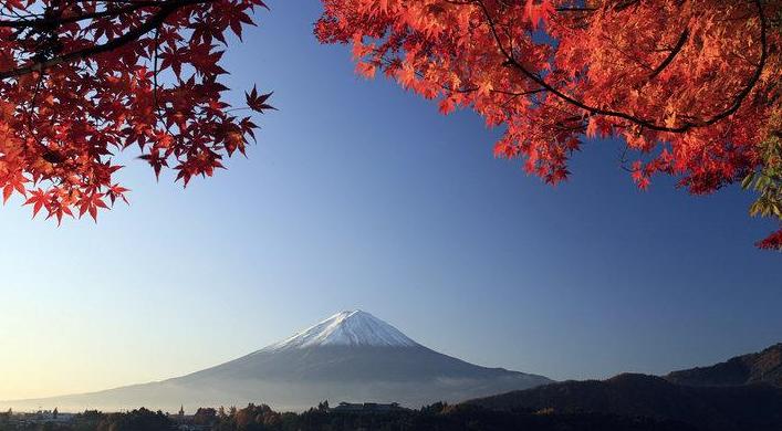 一文读懂医疗器械,一文看懂日本历史的书