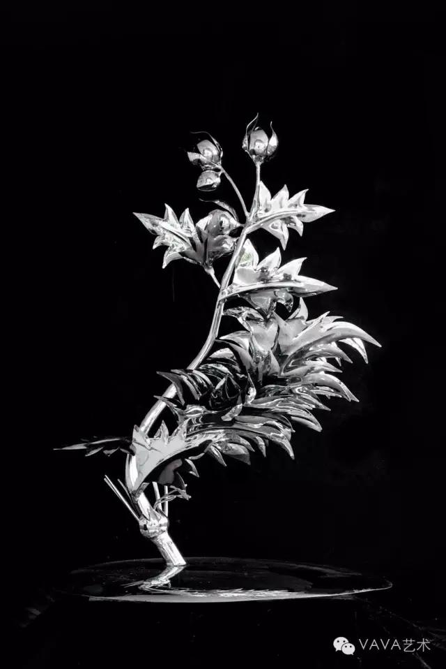 音乐家LisbethScott：通过音乐讲述树的故事