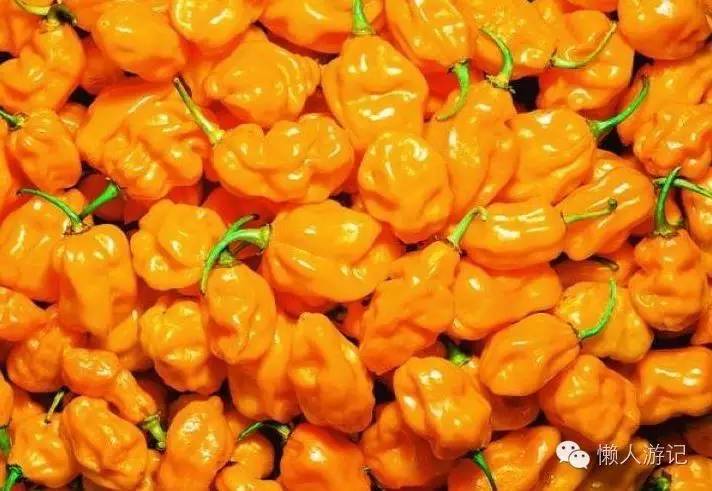 比老干妈还下饭的辣酱,比老干妈更好吃的辣酱