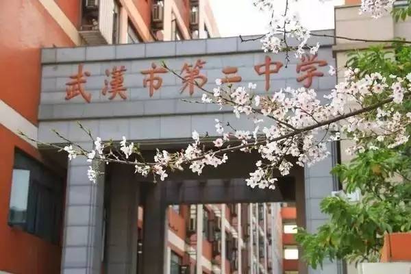 2022年湖北高考晒分,湖北省考晒成绩