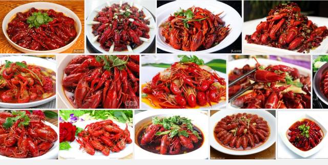 欧洲杯赚了多少呀,一个欧洲杯能赚多少