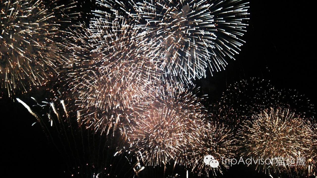 日本最大烟花美不胜收,日本最牛的烟花大赏