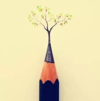 北影招生简章2024,北影招生标准条件