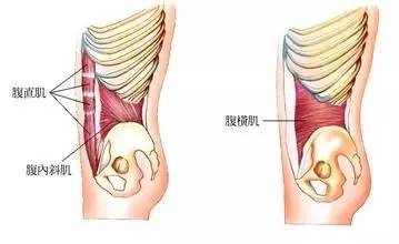 筋膜学说与经络学说,筋膜学说是什么原理