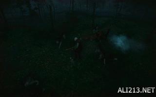 巫师3狂猎各类流派图,巫师3各流派攻略