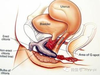 基因检测药物副作用,基因检测潜在获益药物