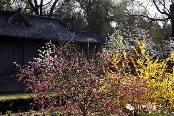 在山西农业大学有哪些学院呢？学院又是如何规划的呢?戳图文查看