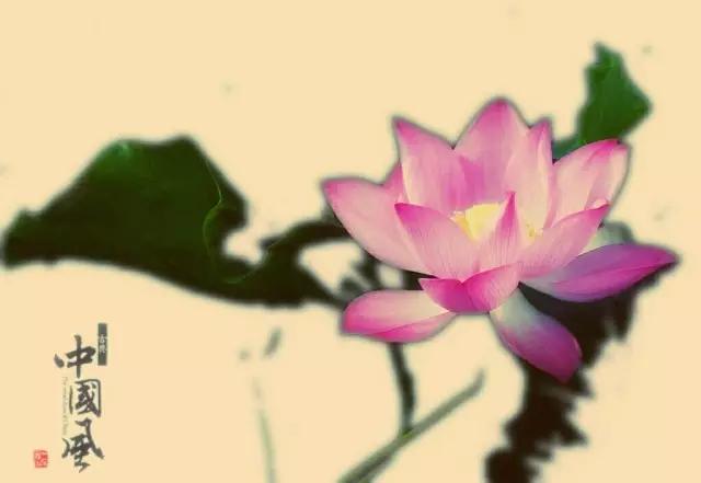 如何把荷花修图成水墨画,手机荷花后期水墨画教程