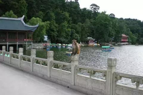 逃离大武汉？我选择拆穿朋友圈晒旅行照的人