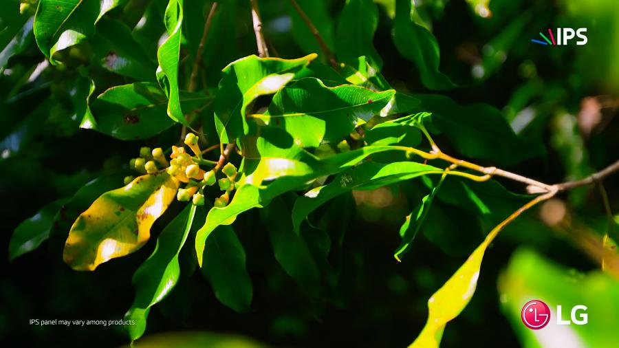 奇珀,奇珀的产品怎么样