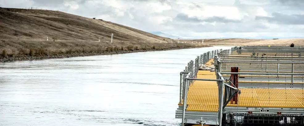 新西兰南岛大海,新西兰海鲜哪个最好吃视频