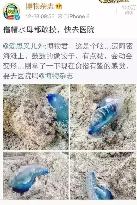 夏天带宝宝去海边玩注意什么,带娃到海边玩一定要注意安全