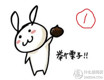 小白显卡教程,小白显卡怎么选