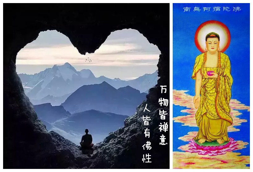 禅悟一花一世界一树一菩提,禅悟人生一花一世界一叶一菩提