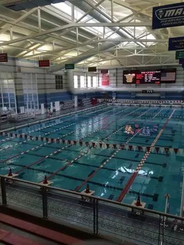 辽A－辽P！省内各市游泳馆地图来袭！哪凉快哪呆着去～