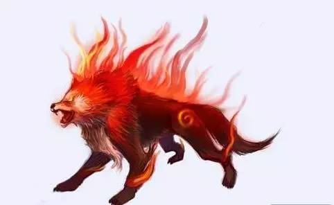 杰尼龟的收服方法,杰尼龟捕捉动画