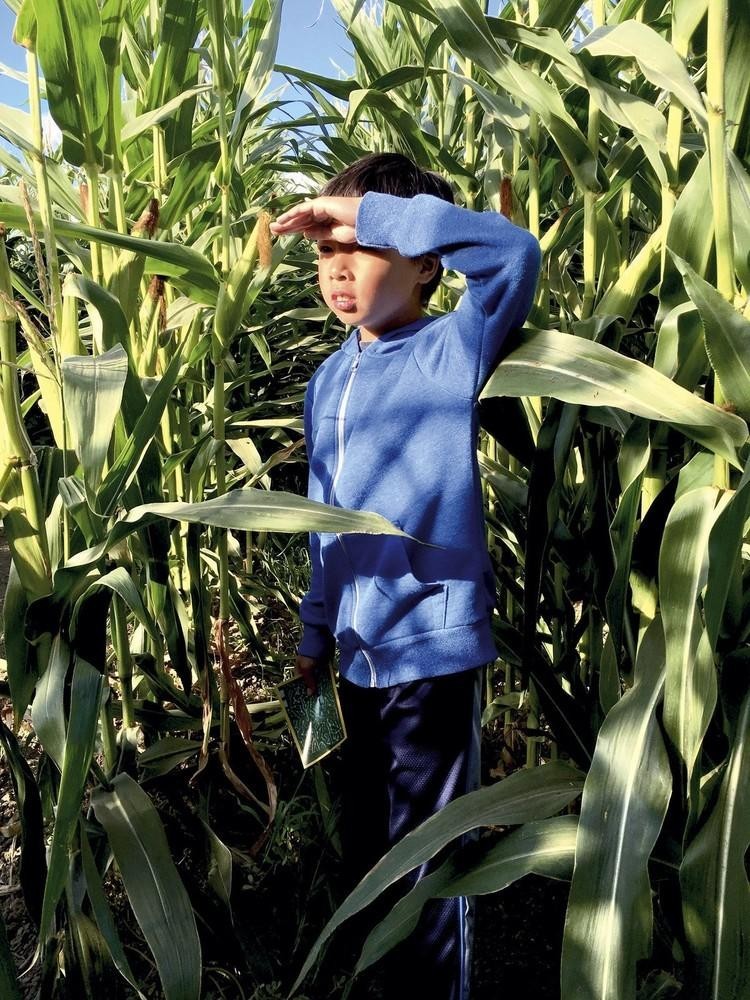 苹果CEO库克居然是个手残*党**